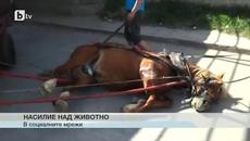 Мъже налагат с верига изтощен кон, за да тегли каруца с желязо - Videoclip.bg