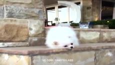 ЛУЧШИЕ ПРИКОЛЫ SAMYY KLASS (ВЫПУСК 192) - Videoclip.bg