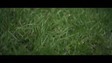 NEW Dj Fresh  Adam F - Believer - Videoclip.bg