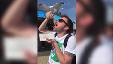 Най-добрите провали на седмицата 15 май 2015 - Failarmy - Videoclip.bg