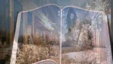 Бъдни вечер е.... - Videoclip.bg