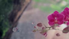 Giovanni Marradi - Romantico - Videoclip.bg
