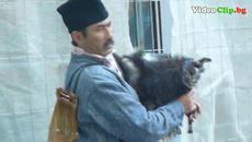Музиканти В центъра на Пловдив 2015 - Videoclip.bg