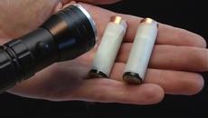 Вижте триковете на animal с които винаги ще печелите!!! - Videoclip.bg