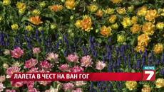 В Холадния градинари нарисуваха портрета на Ван Гог с лалета - Videoclip.bg