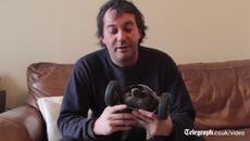 Костенурка без крака се придвижва с помощта на колела - Videoclip.bg