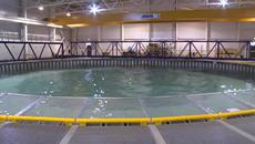 Басейн прави страхотни вълни (ВИДЕО) - Videoclip.bg