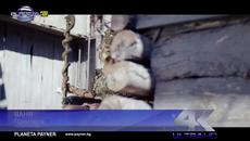 Промоо- Ваня - Принцеса, 2015 - Videoclip.bg