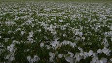 Страховита буря с градушки в България вчера - Отнесени покриви и изпочупени автомобили в Кирково - Videoclip.bg