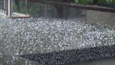 Страшно събитие 16.05.2015 - Вижте каква Градушка се изсипа днес в Горна Оряховица - Videoclip.bg