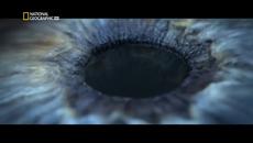 Космос еп.2 - Какво правят молекулите - Videoclip.bg