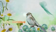 Александра Прийович- Jos veceras plakacu za tobom - Videoclip.bg