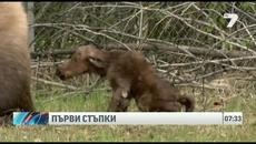 Първите стъпки на бебе лос ♥ :) - Videoclip.bg