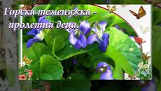Горски теменужки... ... (с поезията на Трайко Симеонов) ... ... - Videoclip.bg