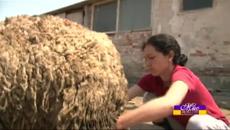 Мис Пепеляшка - Епизод 7 - (21.05.2015) - Videoclip.bg