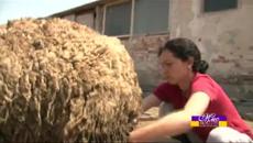 Мис Пепеляшка 21.05.2015 - Цял Епизод(1) - Videoclip.bg