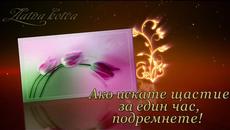 Щастието е! - Videoclip.bg