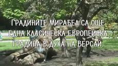 Топ 5 На най-красивите градини в света! - Videoclip.bg