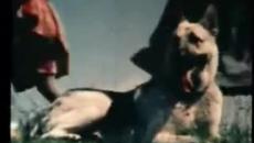 Детство Мое - Честит Празник На Всички Малки И Големи Деца - Videoclip.bg