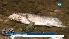 Екокатастрофа край Първомай - Videoclip.bg