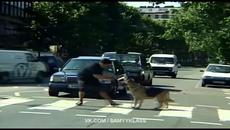 ЛУЧШИЕ ПРИКОЛЫ SAMYY KLASS (ВЫПУСК 196) - Videoclip.bg