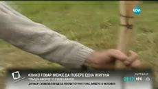 Пълен абсурд - Колко товар може да побере една Жигула - Videoclip.bg