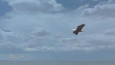 Leo Rojas - The Lonely Shepherd - Videoclip.bg
