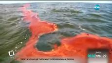 Бритиш Петролиум за разлива в Мексиканския залив заплати 19 млрд. долара - Videoclip.bg