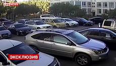Коте падна от 19-я етаж, разби "Лексус" и оцеля - Videoclip.bg