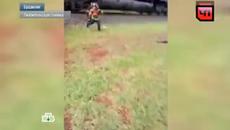 Влак сгази семейство , докато си правят селфи - Videoclip.bg