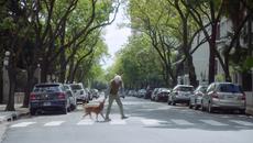 Колко би чакало едно куче своя стопанин пред болницата? - Videoclip.bg