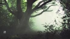 Stive Morgan - Nature Dance 2 - Videoclip.bg