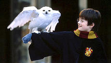 Неизвестни магически факти за Harry Potter - Videoclip.bg