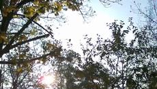 Rampue - Sonne Park und Sterni - Videoclip.bg