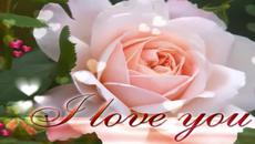 Engelbert Humperdinck - Have I Told You Lately - Videoclip.bg