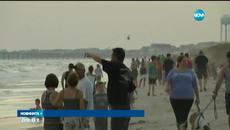 Акули нападнаха летовници в САЩ - Videoclip.bg