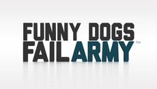 Ultimate Funny Dogs Compilation by FailArmy , 2015 - Videoclip.bg