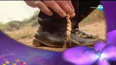 Малката Булка - 864 Бг Аудио - Videoclip.bg