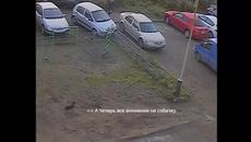Жена шофьор прави страхотно излизане от паркинг (ВИДЕО) - Videoclip.bg