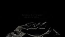 Because I love you   Richard Elliot - Videoclip.bg