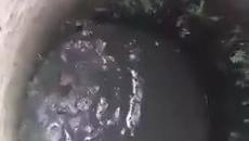 Хора спасяват куче паднало в стар кладенец - Videoclip.bg