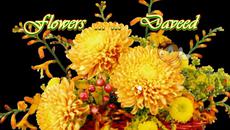 Flowers ... ...  Daveed! ... ... - Videoclip.bg