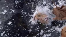 I’ve Never Seen Earth quite like this. Unbelievable Beauty. - Myshared - Videoclip.bg