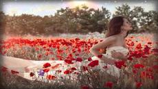 Лавандула и Макове! Lavender and Poppies - Videoclip.bg