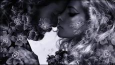 Sophie Zelmani ♡ Memory Loves You - Videoclip.bg