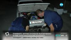 Спешна дезинфекция на заведения и магазини срещу антракс във Варна - Videoclip.bg