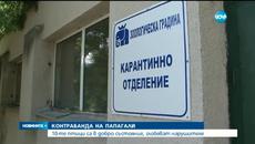 Задържаха мъж за контрабанда на папагали Жако - Videoclip.bg