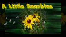 A Little Sunshine ... (music Nicolas de Angelis) ... ... - Videoclip.bg