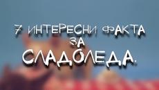 Любопитни факта за сладоледа - Videoclip.bg