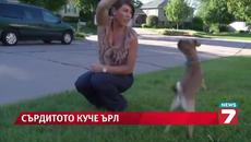 Сърдитото куче Ърл омагьоса Facebook - Videoclip.bg
